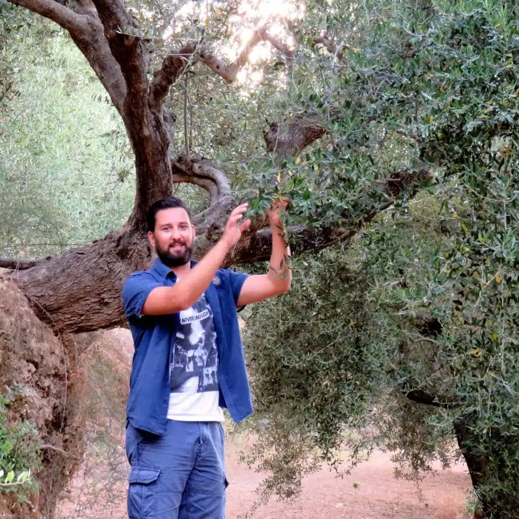 Graikijos skonis su Vangeliu, įkūrėju ir partneriu, šalia alyvmedžio Kalamatos alyvmedžių giraitėje
