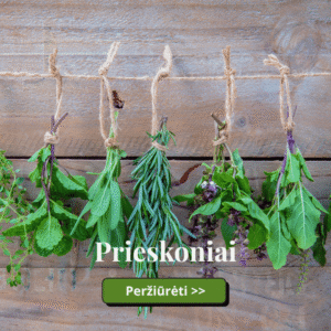 Prieskoniai
